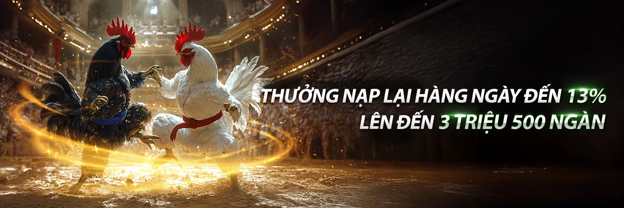 Sân đấu đá gà trực tuyến C54777 đầy kịch tính