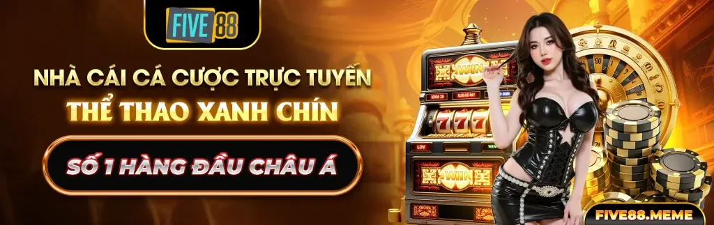 Phản hồi nhanh chóng C54777